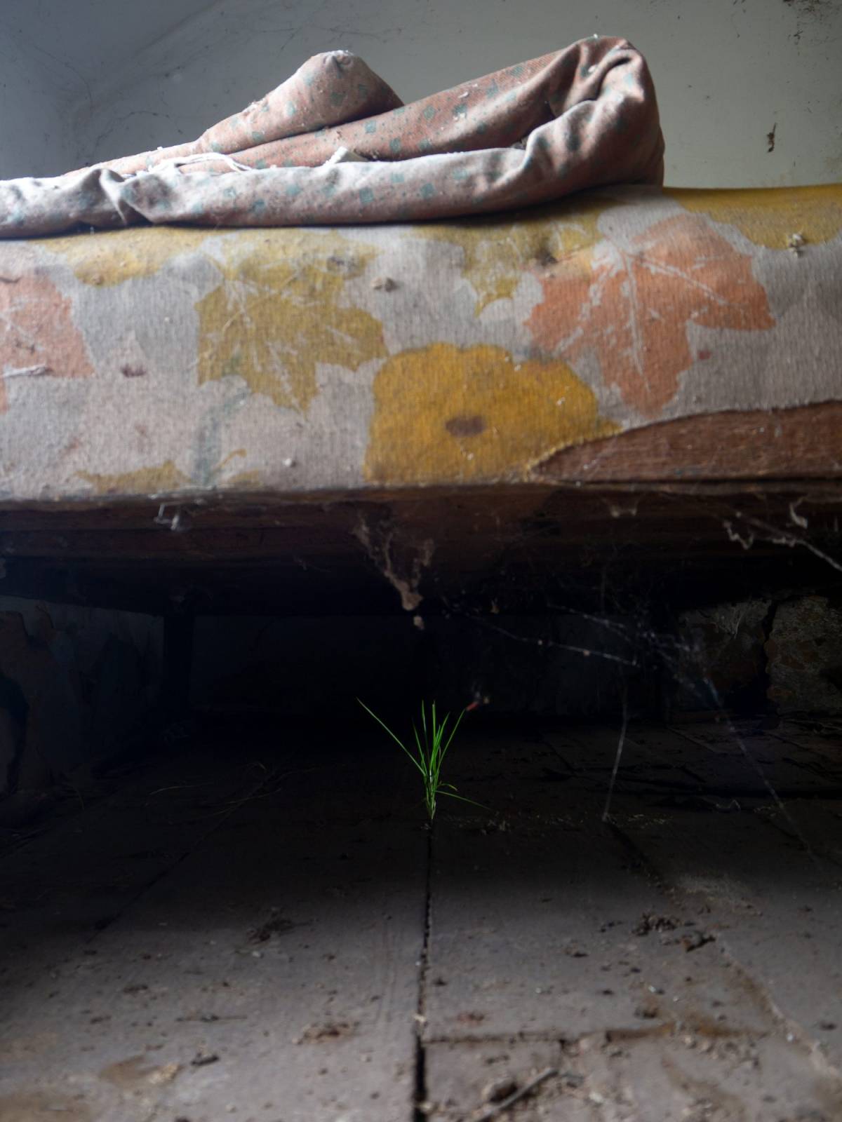 Bucharest Photofest 2026, între 9 și 18 octombrie 4 Patricia Iordache Niculescu 003