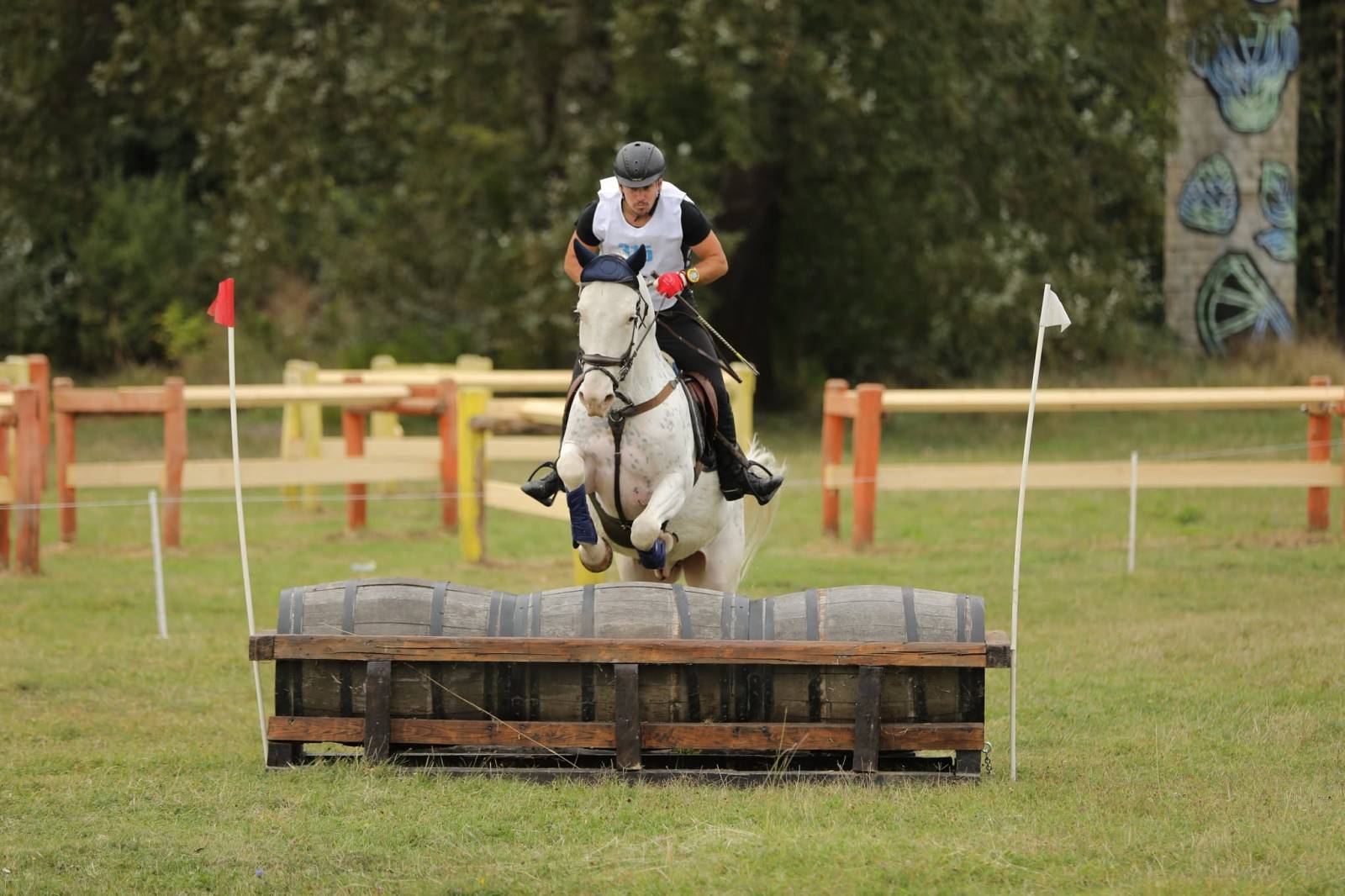 Karpatia Horse Show 2026: călăreții români au dominat podiumul la 2*, iar Turcia a câștigat Cupa Balcanică pe echipe 5 Sportiv Roman