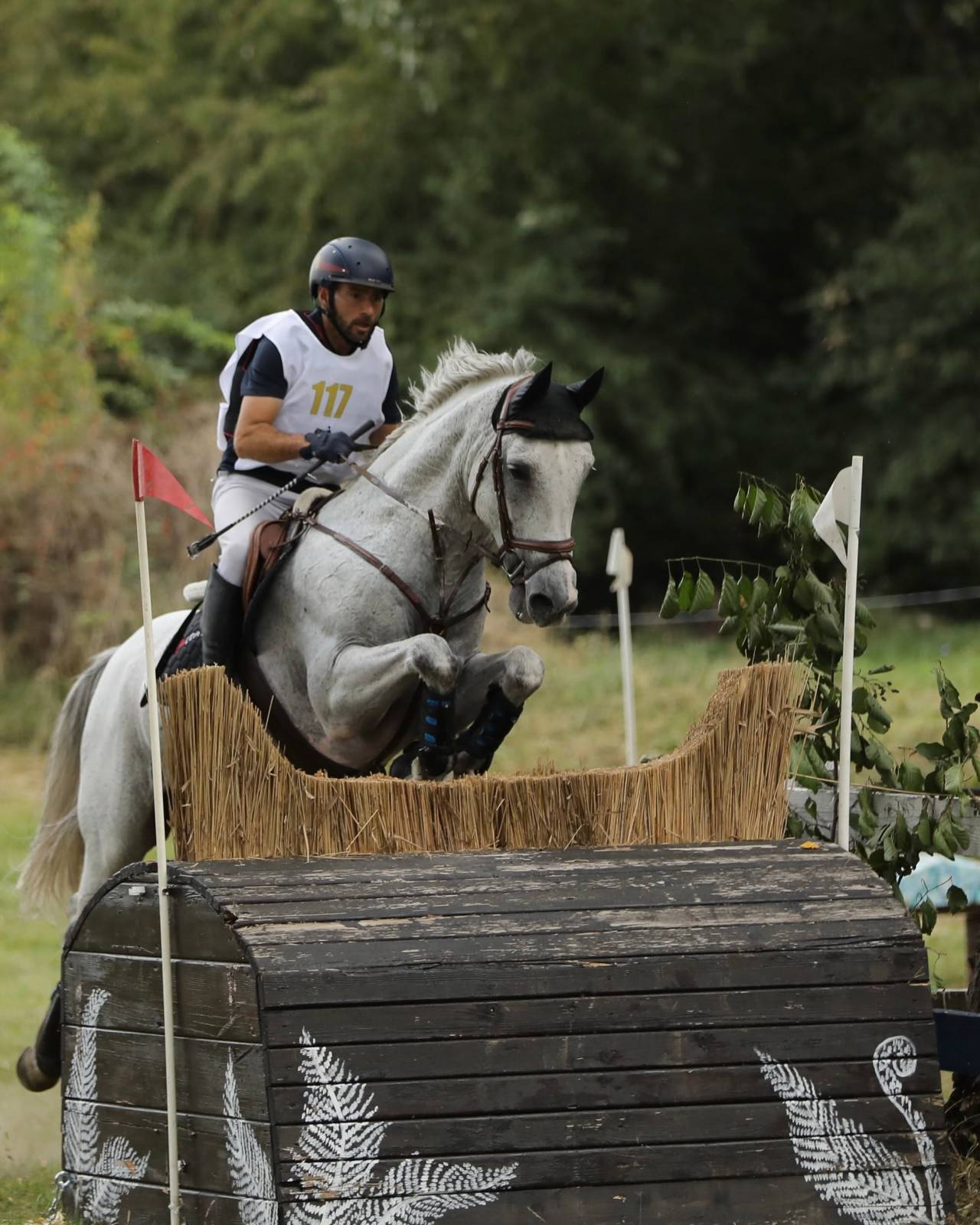 Karpatia Horse Show 2026: călăreții români au dominat podiumul la 2*, iar Turcia a câștigat Cupa Balcanică pe echipe 12 calin nemes cross 2