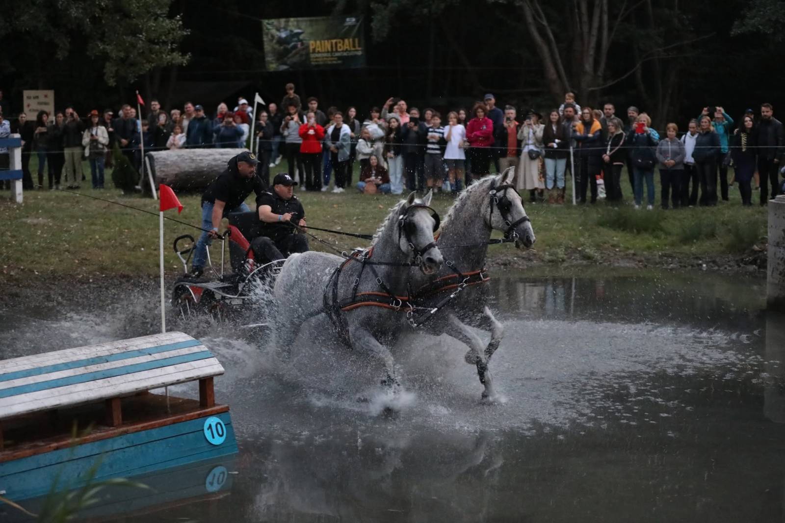 Karpatia Horse Show 2026: călăreții români au dominat podiumul la 2*, iar Turcia a câștigat Cupa Balcanică pe echipe 18 cross3