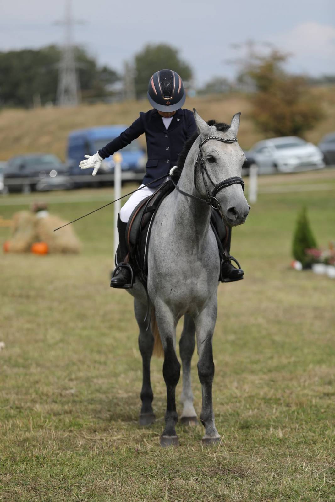 Karpatia Horse Show 2026: călăreții români au dominat podiumul la 2*, iar Turcia a câștigat Cupa Balcanică pe echipe 6 working equitation2