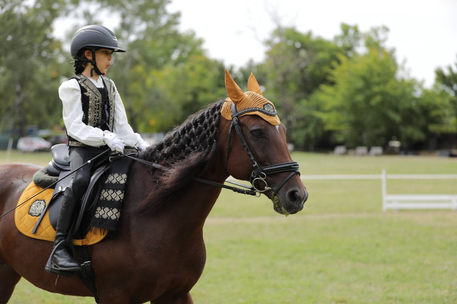 Karpatia Horse Show 2026: călăreții români au dominat podiumul la 2*, iar Turcia a câștigat Cupa Balcanică pe echipe 7 working1