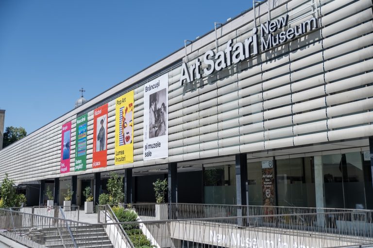 Art Safari New Museum