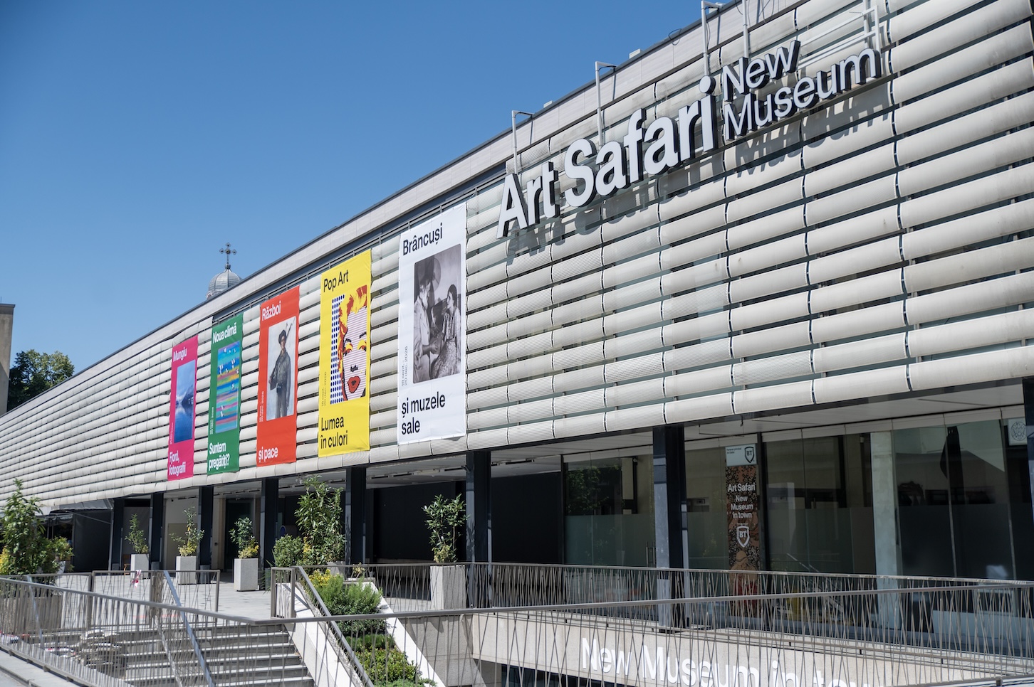 Diana Nicolaie preia funcția de CEO al Art Safari New Museum 2 Art Safari New Museum