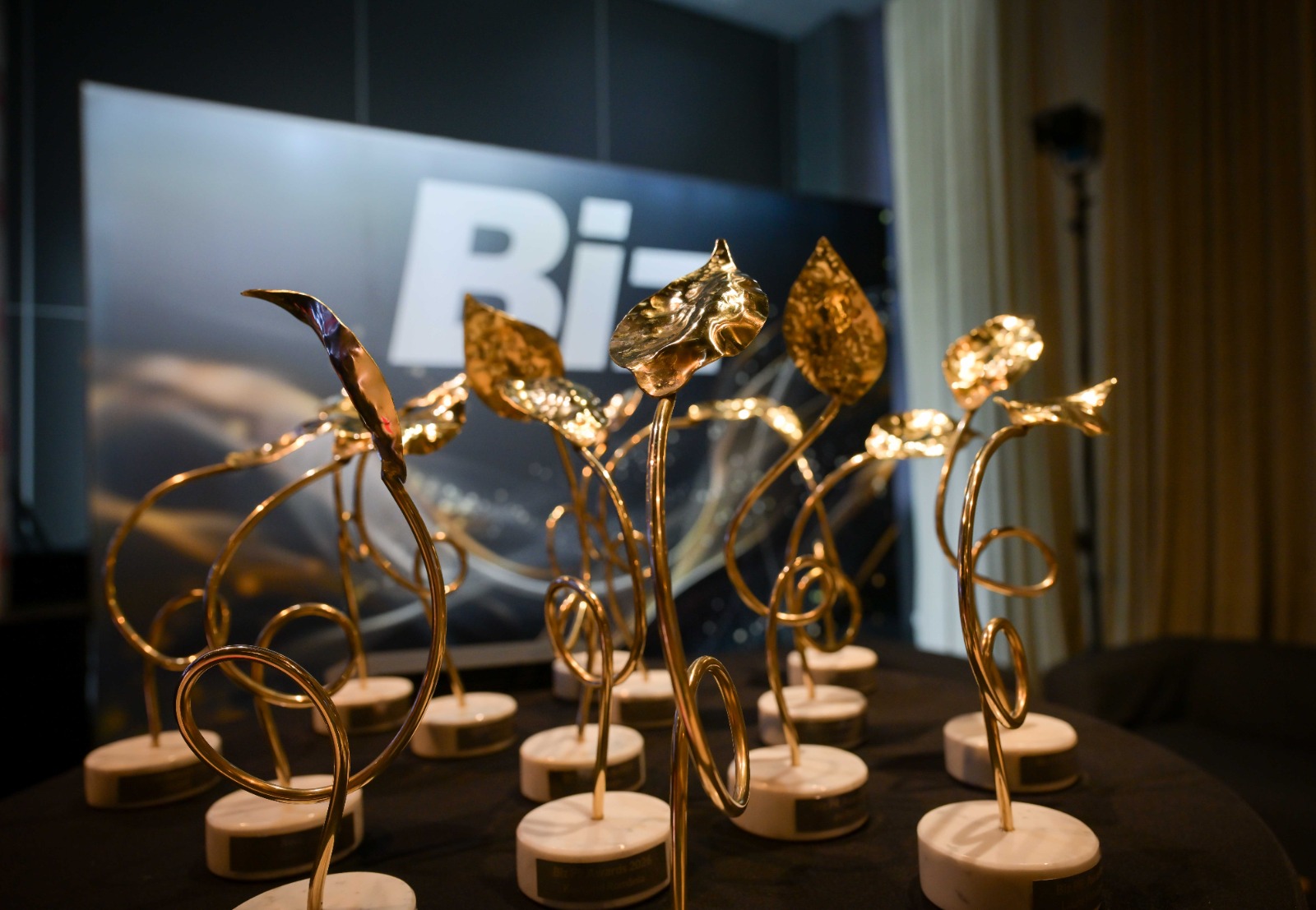 Cei mai performanți și inovatori comunicatori sunt laureații Biz PR Awards 2026 2 Biz PR Awards 2026