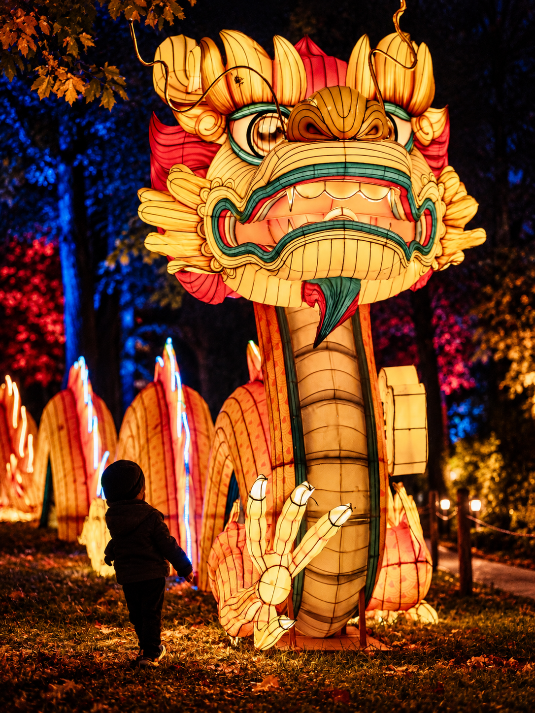 Lumina Park a atras 15.000 de persoane în primele trei zile de la deschidere 1 Child and Dragon Lantern Festival