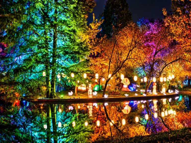 Illuminated Lantern Garden Reflections