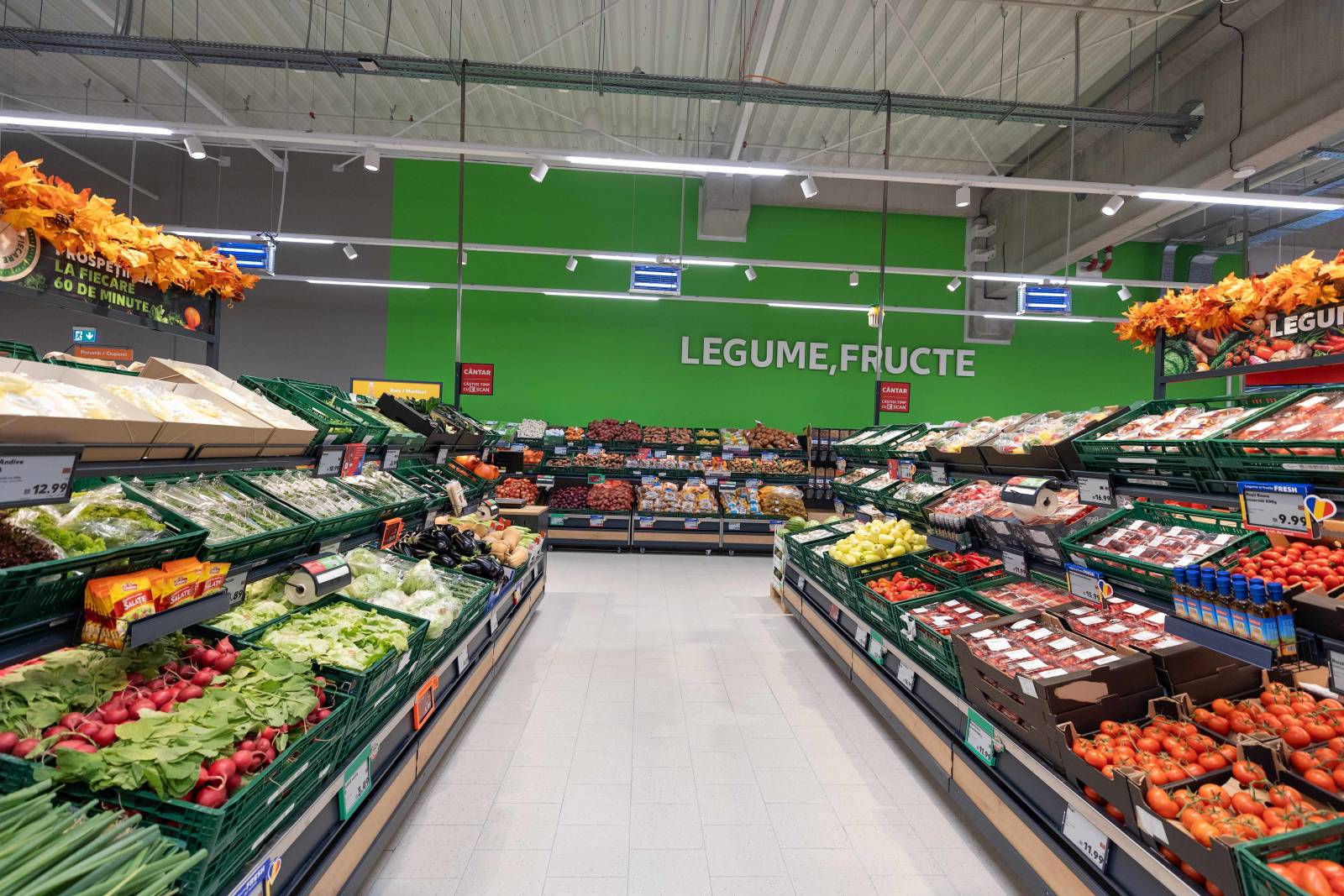 Kaufland Otopeni legume si fructe