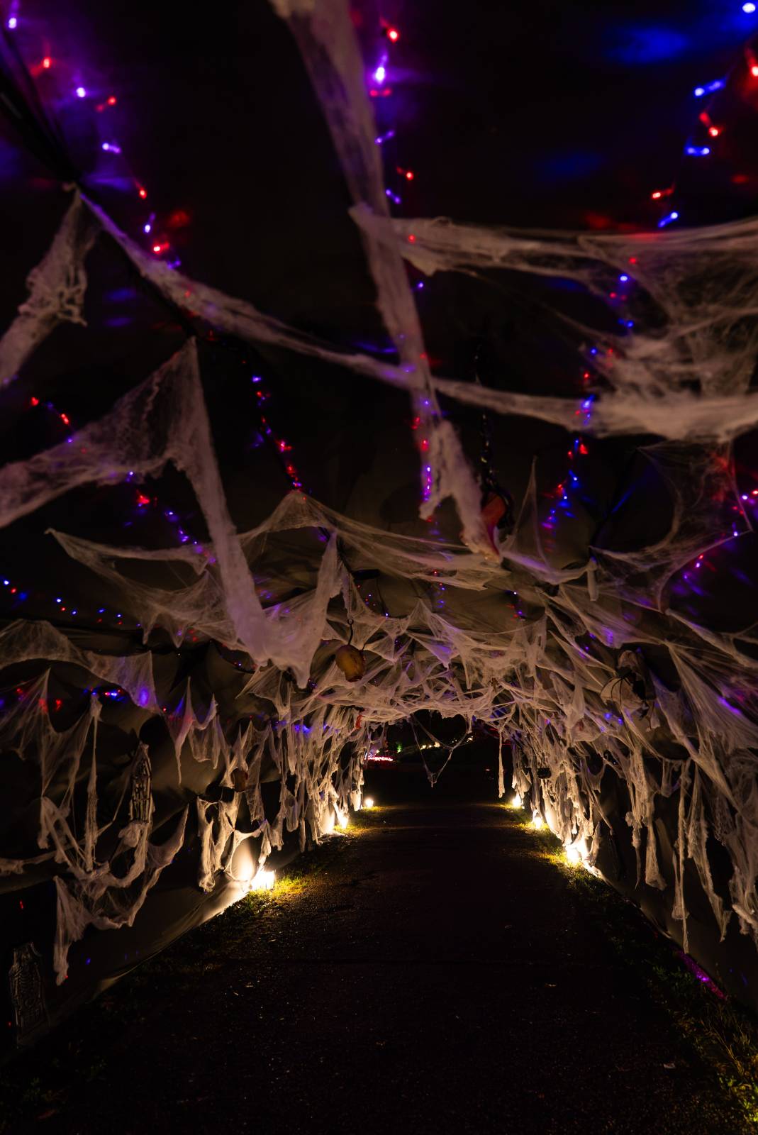 Halloween în lumini, la expoziția Lumina Park – Ocolul Pământului, găzduită de Grădina Botanică „Dimitrie Brândză” din București 2 LUMINA Halloween@mihaismeu 2