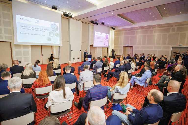 Polish Romanian Industrial Networking Reception
