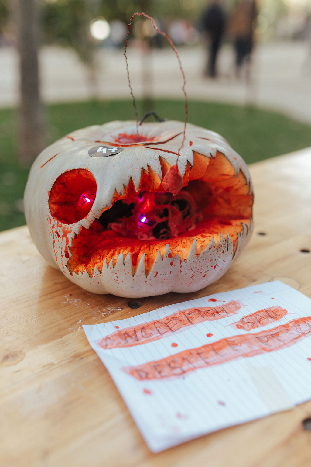 Concurs de dovleci în Grădina Icoanei. Cum a fost transformat parcul din București 2 PumpkinSeason 102