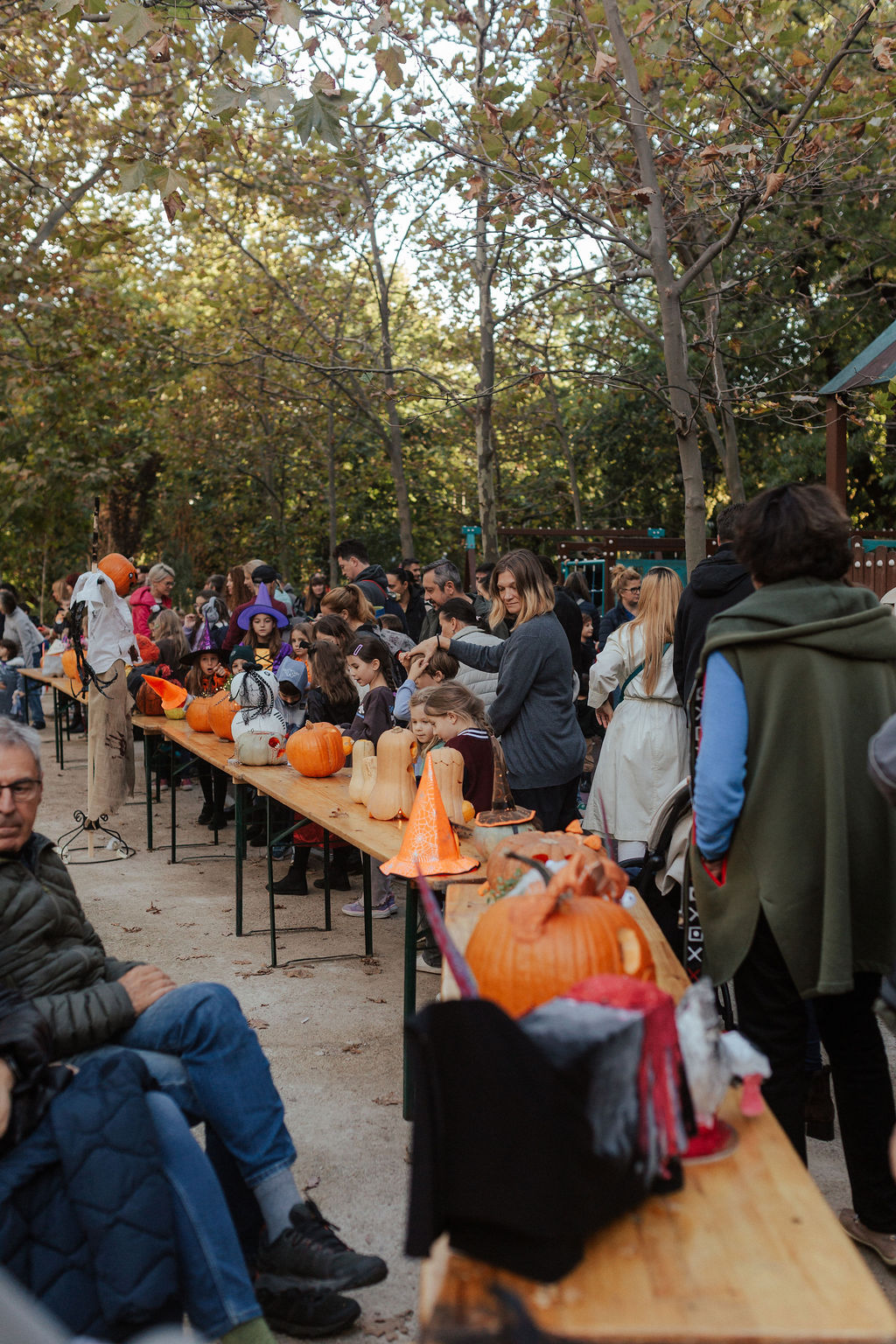 Concurs de dovleci în Grădina Icoanei. Cum a fost transformat parcul din București 1 PumpkinSeason 97