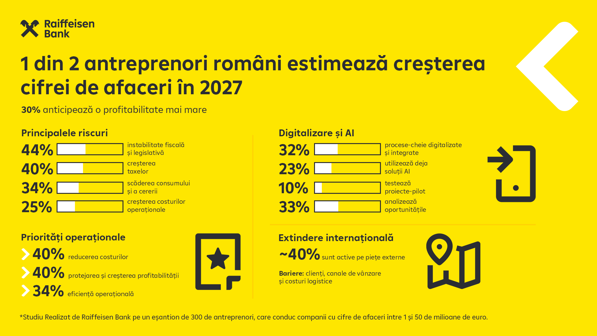 Studiu Antreprenori