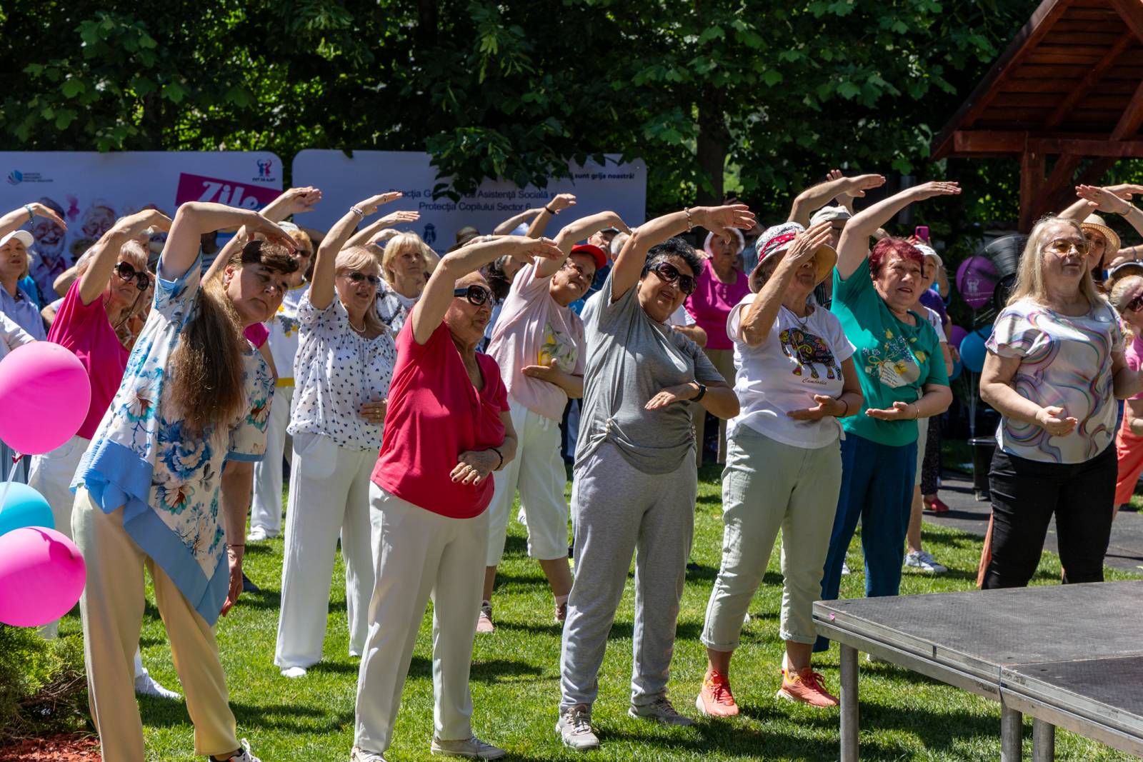 De Ziua Internațională a Persoanelor Vârstnice , 700 de copii, tineri și seniori iau parte la un eveniment maraton în șase județe 1 Zile cu Sens Arta in miscare