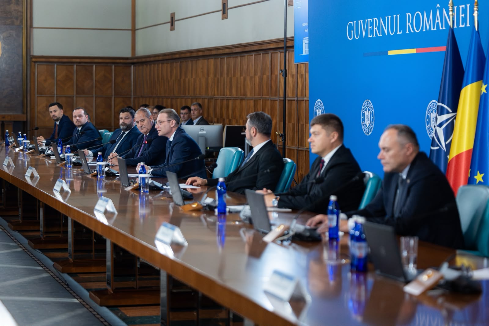 luca niculescu guvernul romaniei