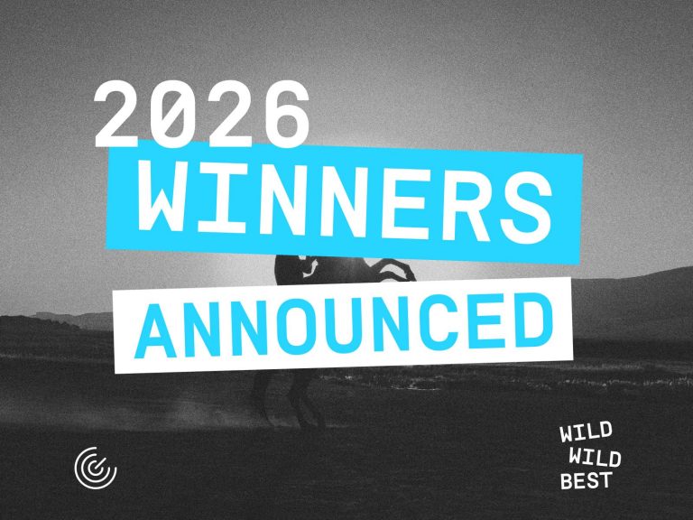 winners announced WEB copy