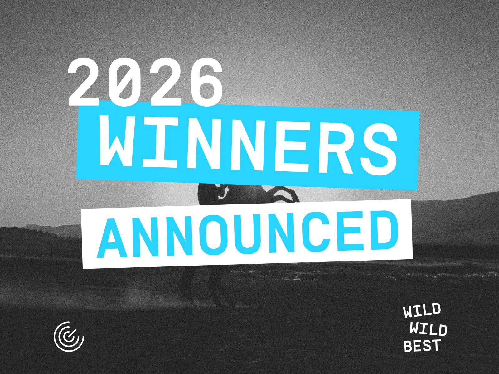 Au fost desemnați câștigătorii Golden Drum 2026 3 winners announced WEB copy